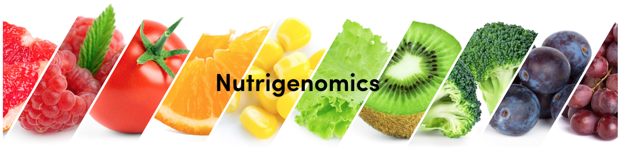 The Rise of Nutrigenomics